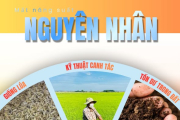 Vai trò của hóa chất trong ngành nông nghiệp hiện đại
