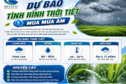 DỰ BÁO MÙA MƯA ẨM – CHỦ ĐỘNG PHÒNG BỆNH, GIỮ VỮNG NĂNG SUẤT!