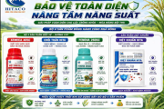BỘ 4 SẢN PHẨM – GIẢI PHÁP BẢO VỆ TOÀN DIỆN CHO CÂY LÚA