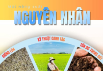 Vai trò của hóa chất trong ngành nông nghiệp hiện đại