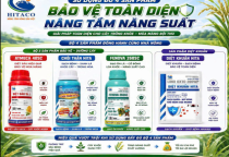 BỘ 4 SẢN PHẨM – GIẢI PHÁP BẢO VỆ TOÀN DIỆN CHO CÂY LÚA