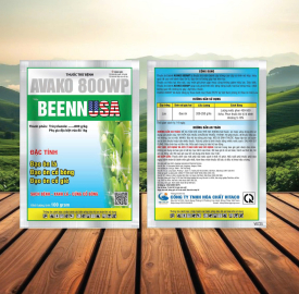 BEENN USA