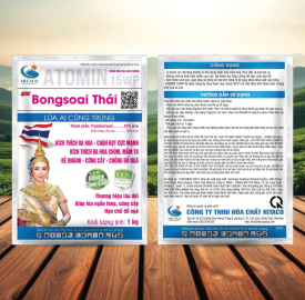 BONGSOAI THÁI
