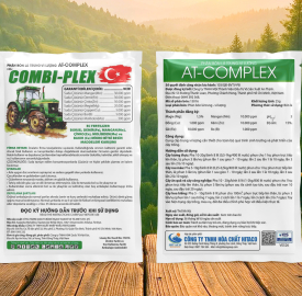 COMBI - PLEX