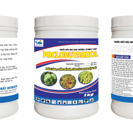 HỦ ATOMIN 15WP - 1KG - PACLOBUTRAZOL - HITACO 3d
