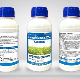 KASSU 2L