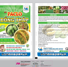 Paclo Đồng Tháp 15WP Market