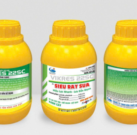 SIEU RAY SUA 