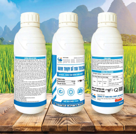 WIN THUỴ SĨ 110 TECH