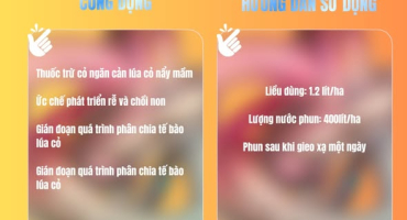 HITACO đồng hành cùng doanh nghiệp trong chuyển đổi quy trình sản xuất bền vững