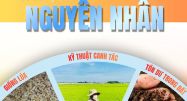 Vai trò của hóa chất trong ngành nông nghiệp hiện đại