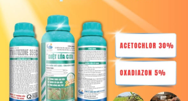 Vai trò của hóa chất trong ngành nông nghiệp hiện đại