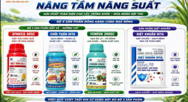 BỘ 4 SẢN PHẨM – GIẢI PHÁP BẢO VỆ TOÀN DIỆN CHO CÂY LÚA