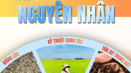 Vai trò của hóa chất trong ngành nông nghiệp hiện đại