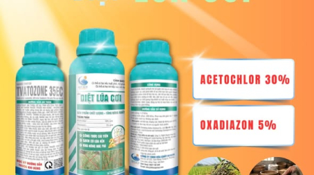 Vai trò của hóa chất trong ngành nông nghiệp hiện đại