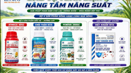 BỘ 4 SẢN PHẨM – GIẢI PHÁP BẢO VỆ TOÀN DIỆN CHO CÂY LÚA