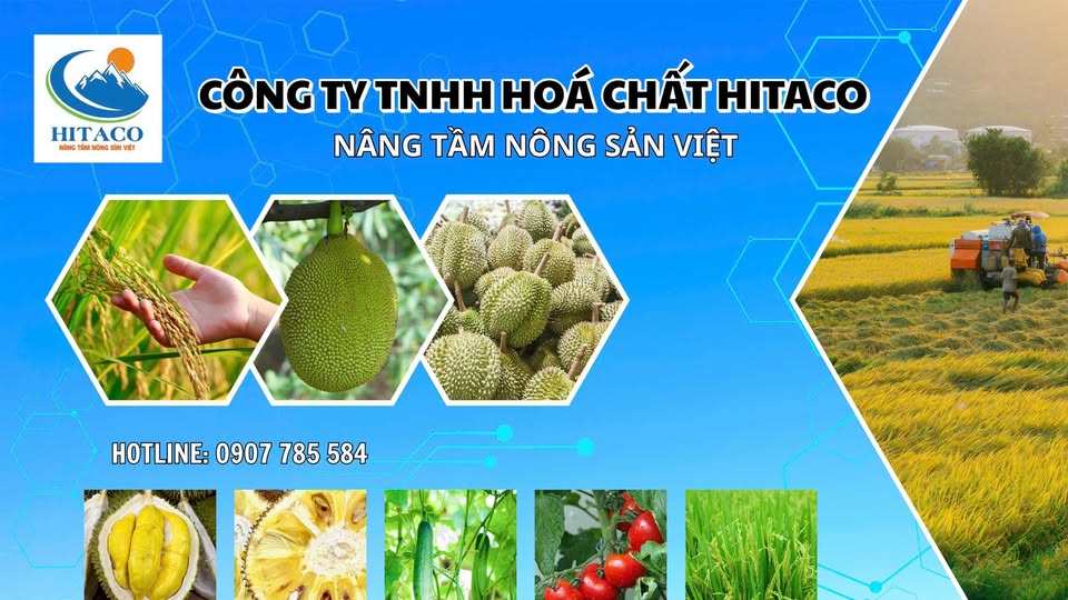 CAM KẾT CỦA CHÚNG TÔI – CHẤT LƯỢNG & UY TÍN HÀNG ĐẦU