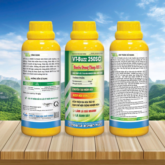 BACLO DONG THAP 25%