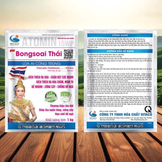 BONGSOAI THÁI