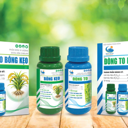CẶP ĐÔI ĐÒNG TO BÔNG KẸO